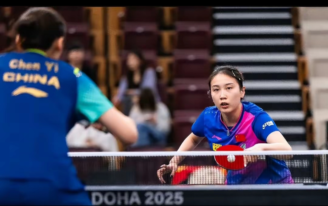 的性别差距 的性别差距